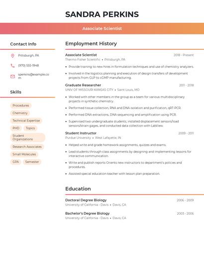 Resume example 3