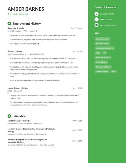 Resume example 5