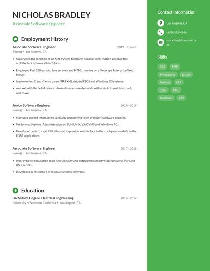 Resume example 4