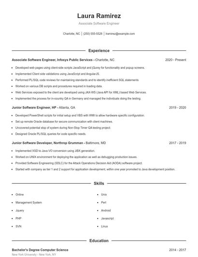 Resume example 1