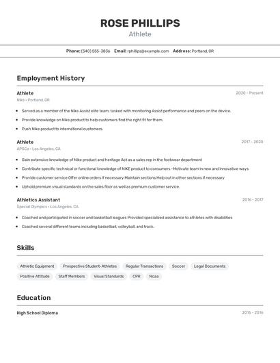 Resume example 2