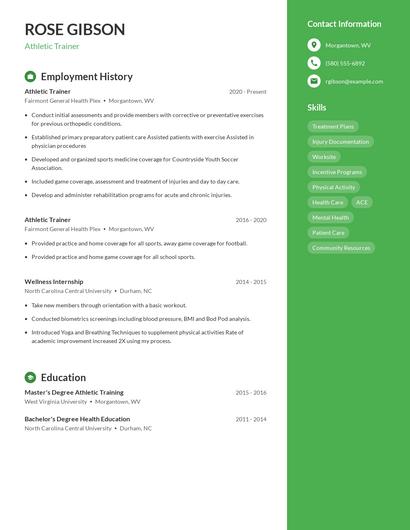Resume example 5