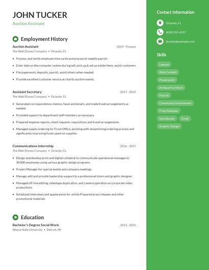 Auction Assistant Resume