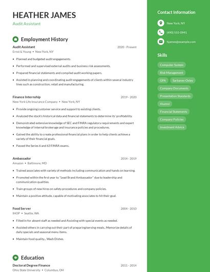 Resume example 5