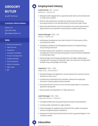 Audit Partner Resume