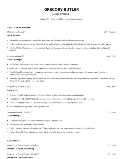 Audit Partner Resume
