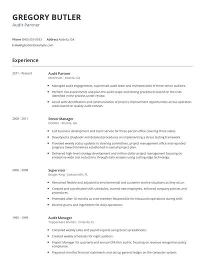 Audit Partner Resume