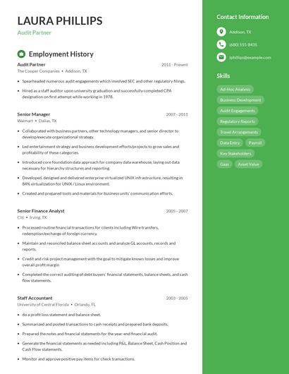 Audit Partner Resume
