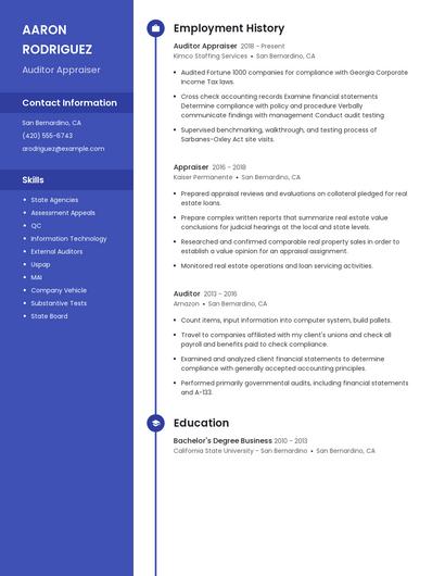 Auditor Appraiser Resume