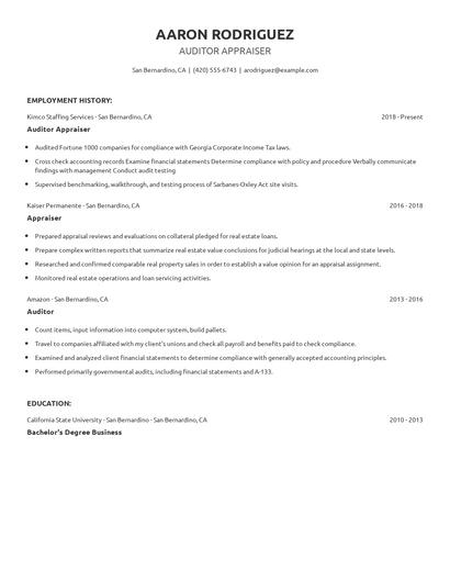 Auditor Appraiser Resume
