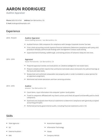 Auditor Appraiser Resume