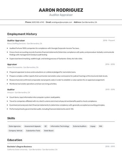 Auditor Appraiser Resume