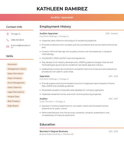 Auditor Appraiser Resume