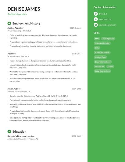 Auditor Appraiser Resume