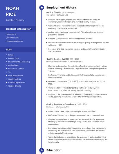 Auditor/Quality Resume