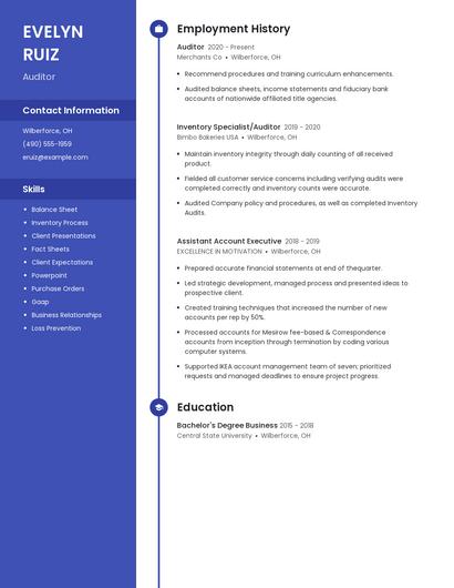 Auditor Resume