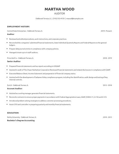 Auditor Resume