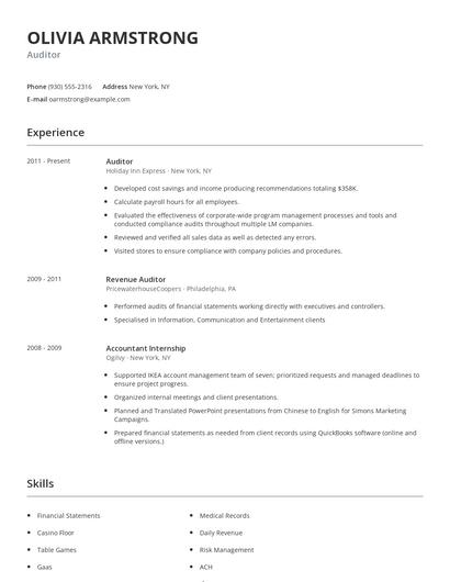 Auditor Resume