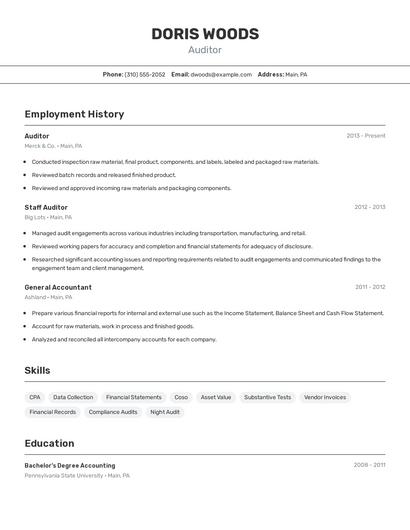 Auditor Resume
