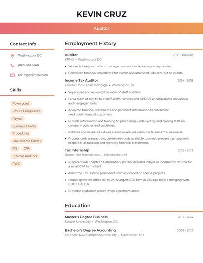 Auditor Resume