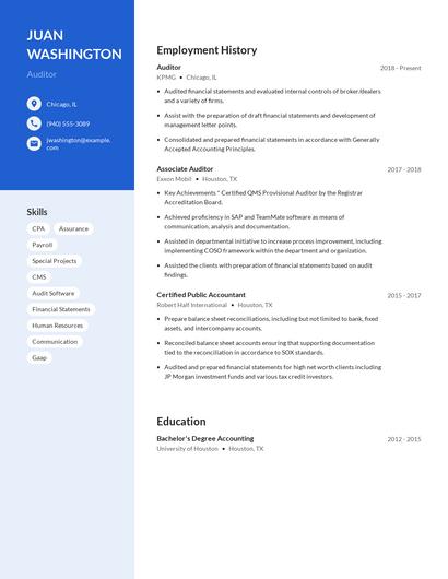 Auditor Resume