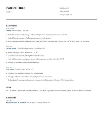 Auditor Resume