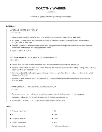 Auditor Resume