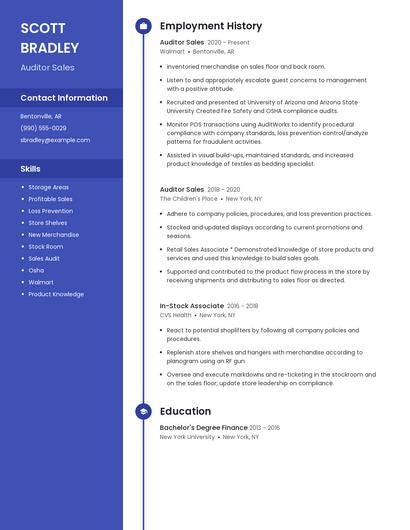 Auditor Sales Resume