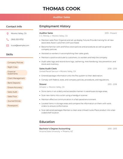 Auditor Sales Resume