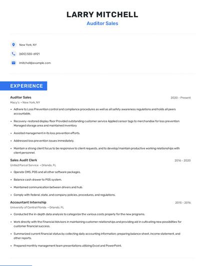 Auditor Sales Resume
