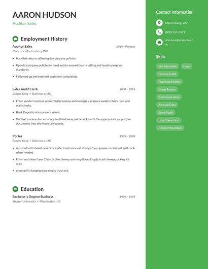 Auditor Sales Resume