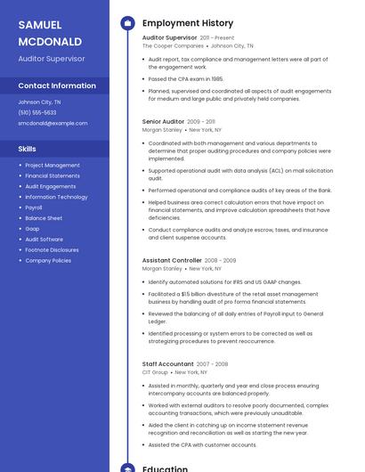 Auditor Supervisor Resume