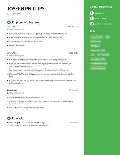 Auto Welder Resume