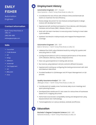 Resume example 4