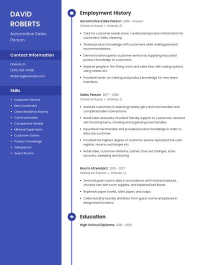 Automotive Sales Person Resume