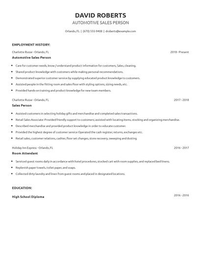 Automotive Sales Person Resume