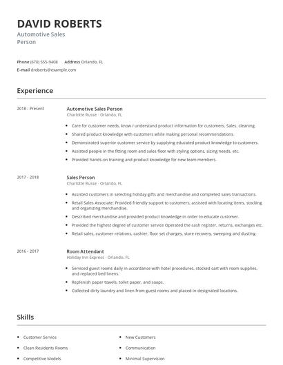 Automotive Sales Person Resume