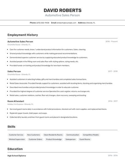 Automotive Sales Person Resume