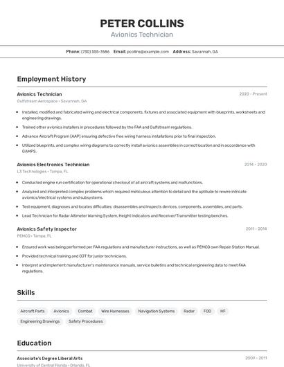 Resume example 2