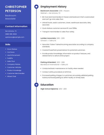 Resume example 4