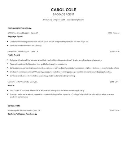 Baggage Agent Resume