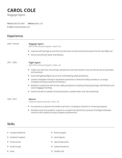 Baggage Agent Resume