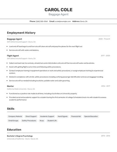 Baggage Agent Resume
