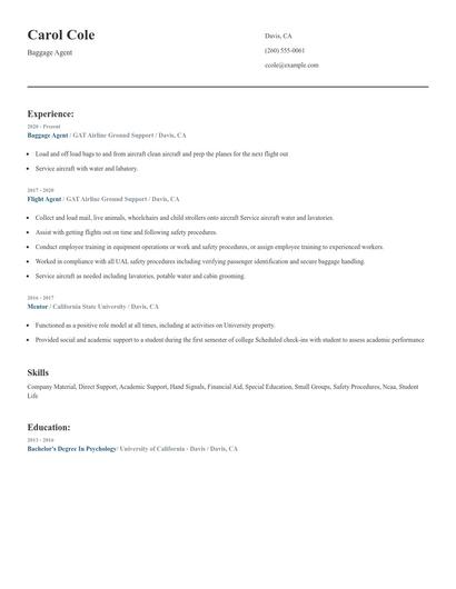 Baggage Agent Resume