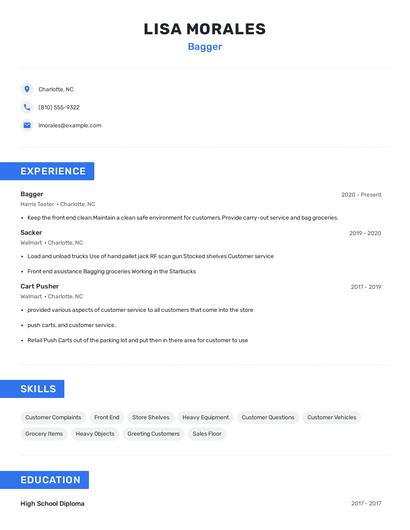 Bagger Resume