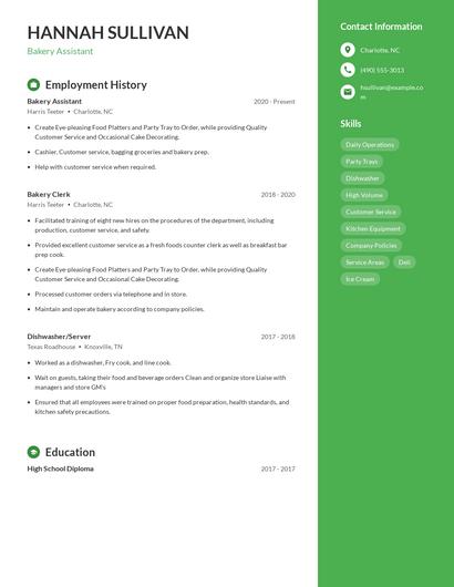 Resume example 4