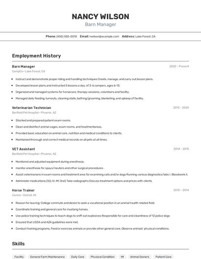 Resume example 2