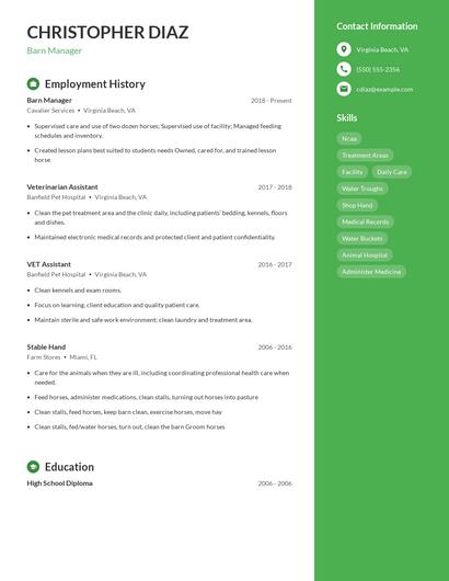 Resume example 5