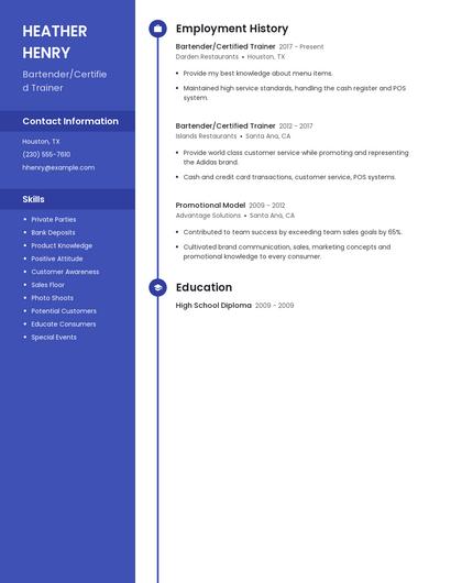 Resume example 4