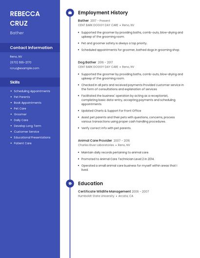 Resume example 5